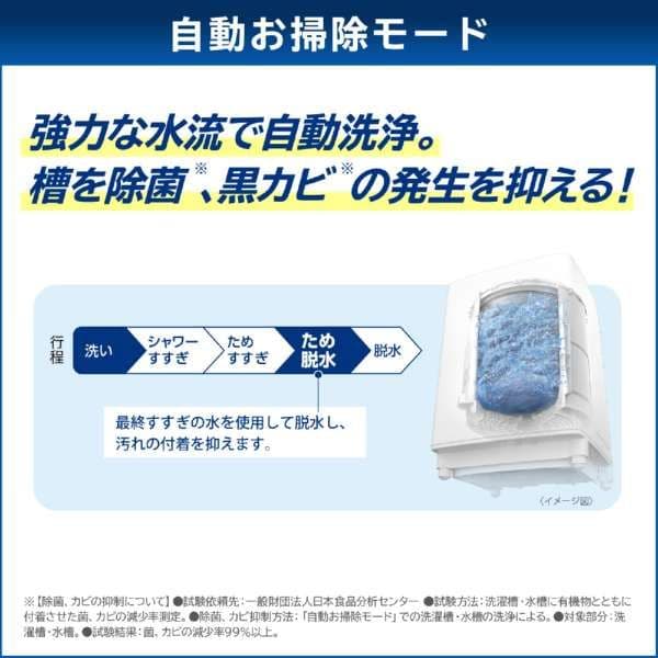 東芝　洗濯乾燥機　ZABOON 8kg/4.5kg　AW-8VH4　2024年製