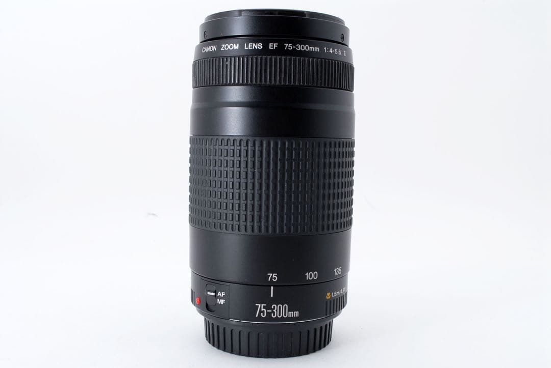 ☆イベント/望遠レンズ/美品/スポーツ/Canon EF75-300㎜☆