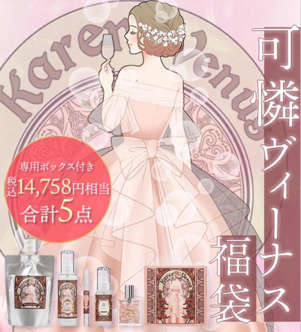 エルシー　福袋 新品 ヘアケア コスメ 5点セット