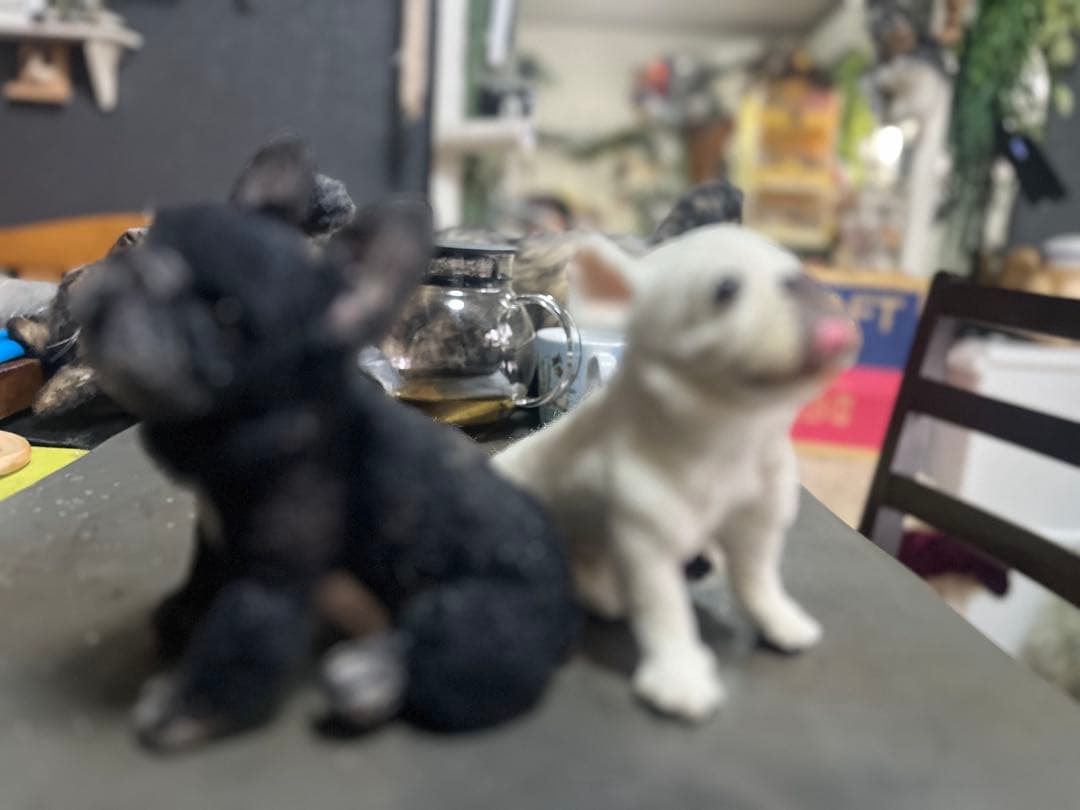 マイペット オーダー メイド 羊毛フェルト