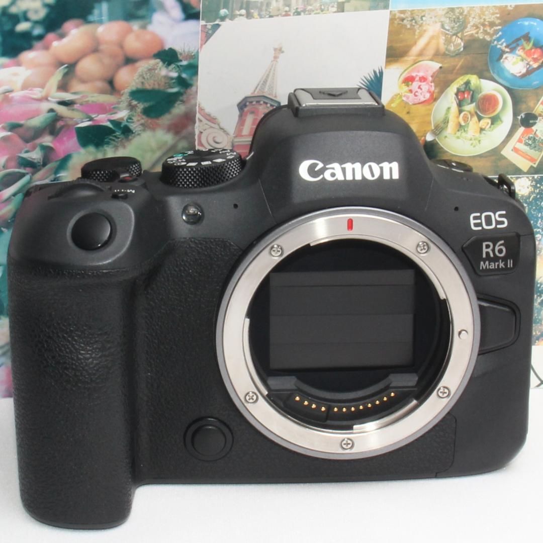 ❤️予備バッテリー付き❤️Canon EOS R6 MARKII トリプルレンズ