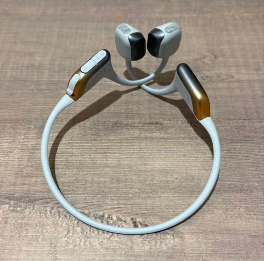 Shokz OpenRun Pro 2 骨伝導イヤホン　標準サイズ