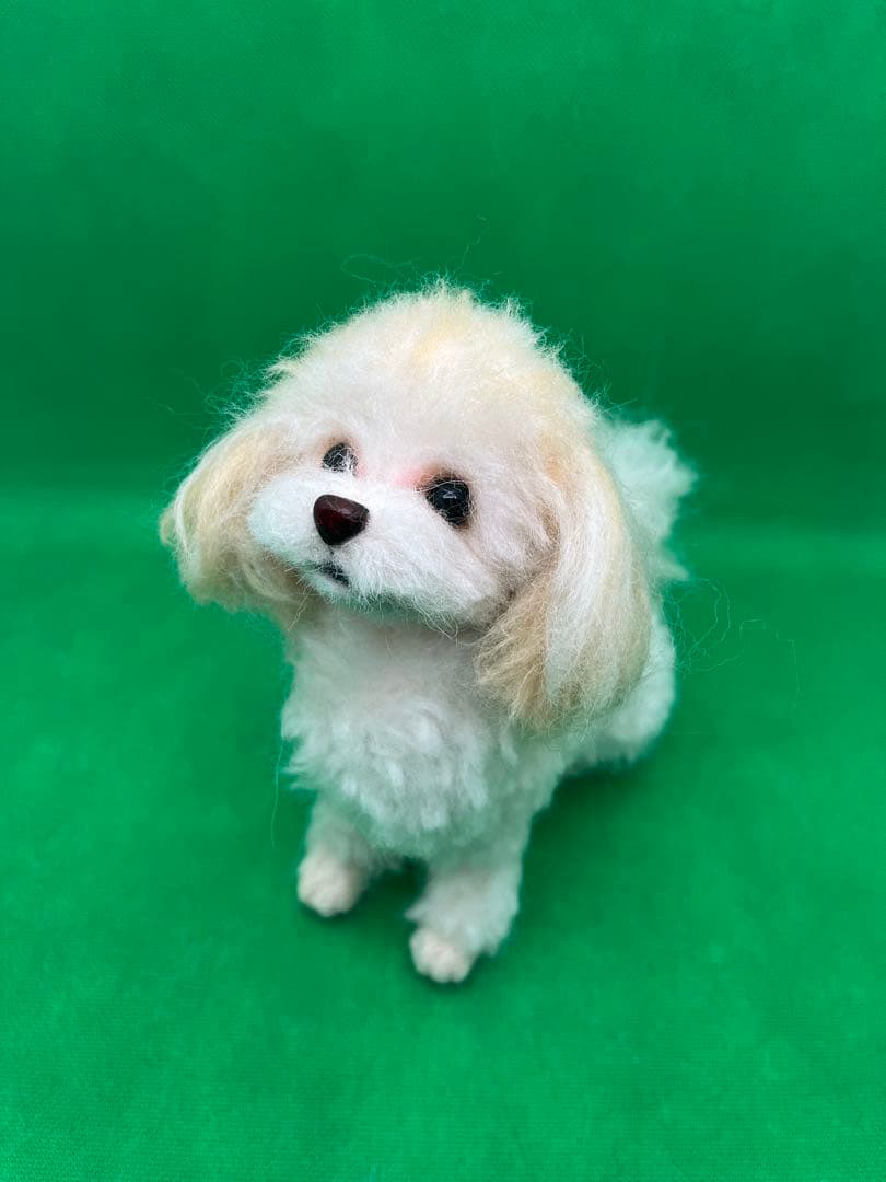 羊毛フェルト マルプー