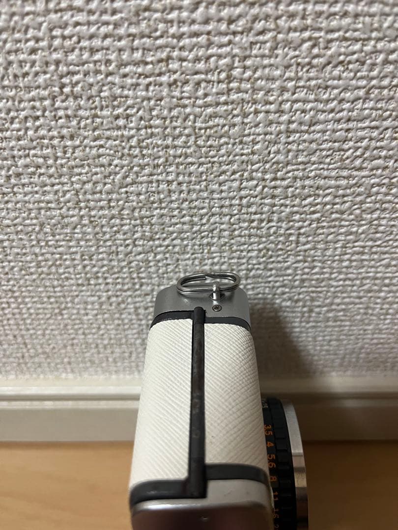 【清掃済み/革張り替え/試写あり】PEN!OLYMPUS PEN EE2