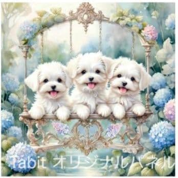 可愛いマルチーズパネル生地　ハンドメイド