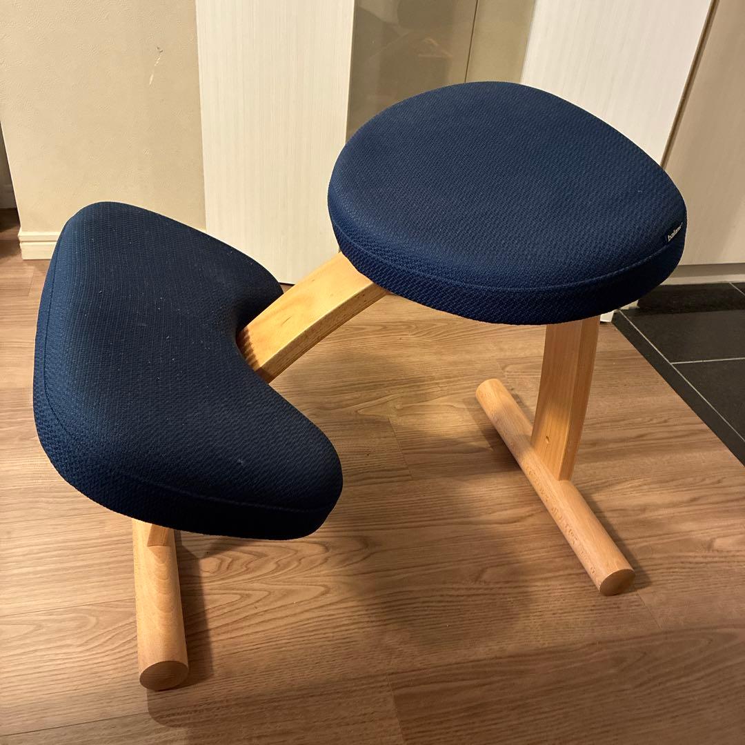 送料込【美品】balans Easyバランスチェア
