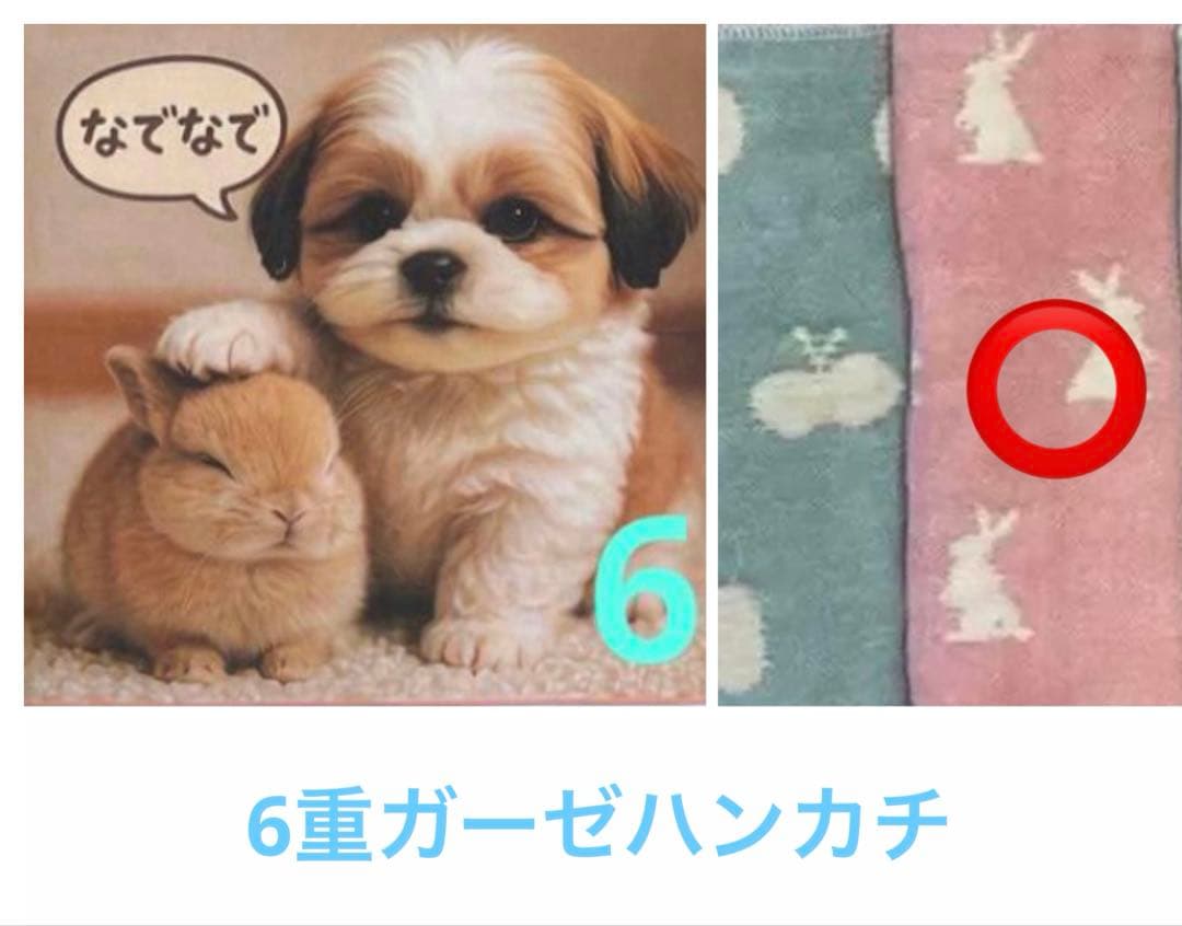 レンローズ④