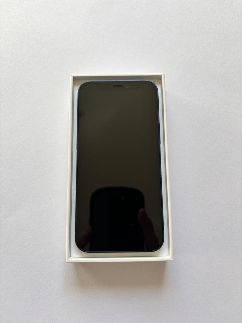 Apple iPhone 12mini 青色 本体 & 付属品 美品