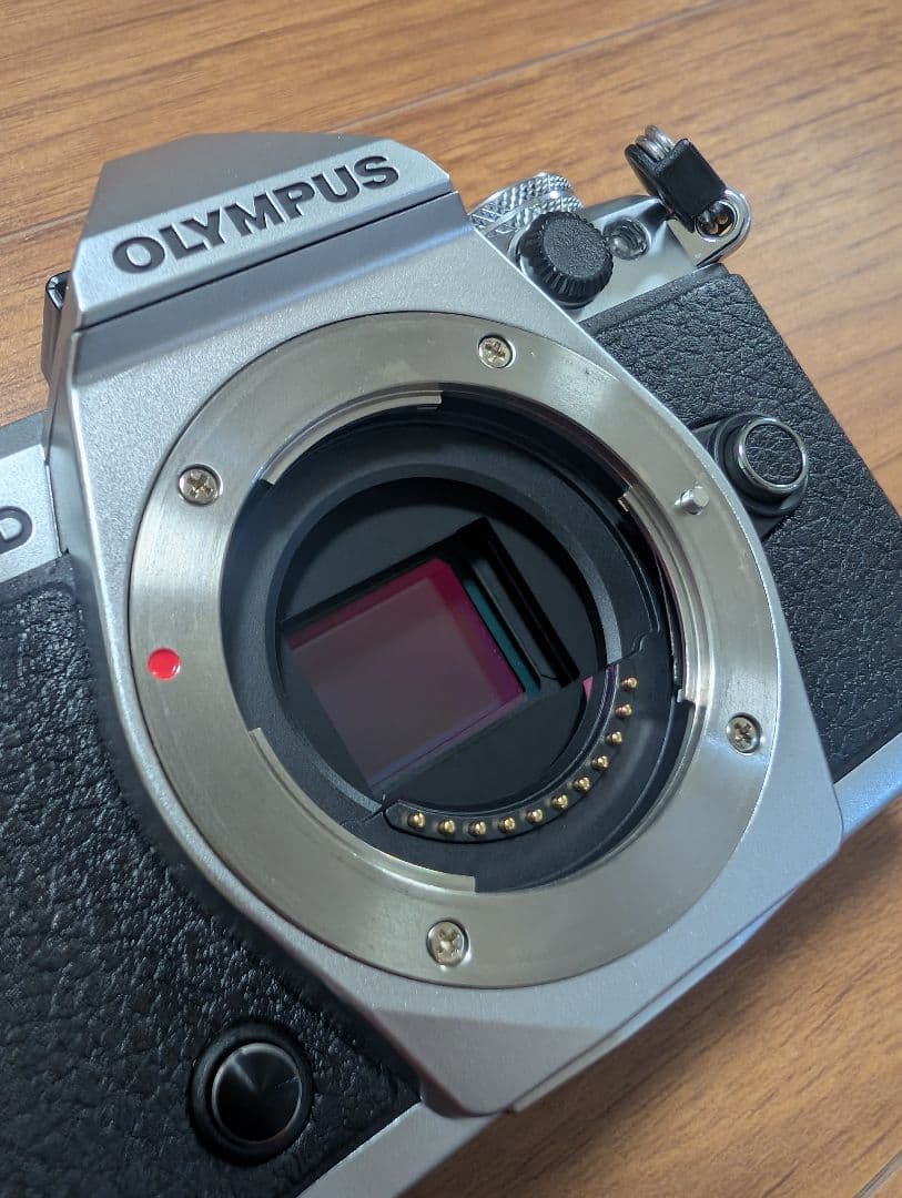 OLYMPUS OM-D E-M5 MarkIIフルセット シャッター回数311