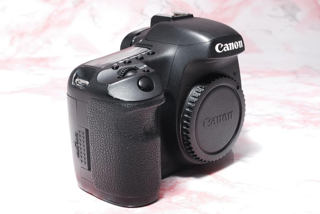 ✨Canon EOS 7D✨標準+超望遠Wレンズ 高速連写 本格撮影 初心者最適