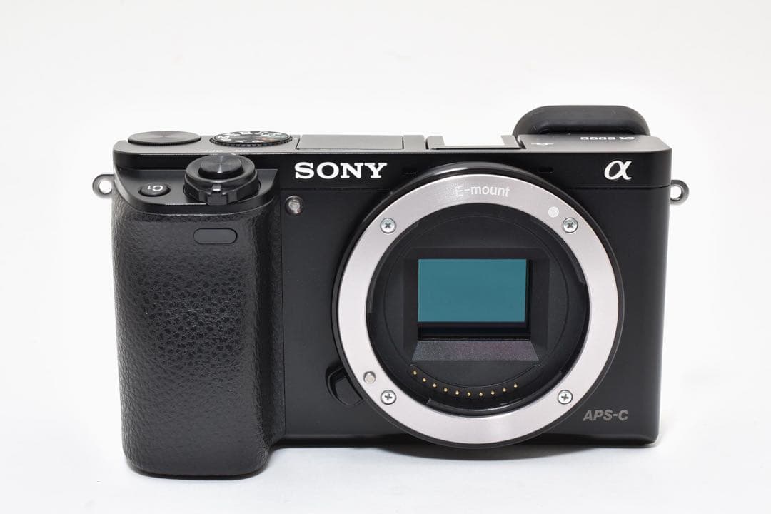 SONY α6000 APS-C ミラーレス一眼カメラ 本体