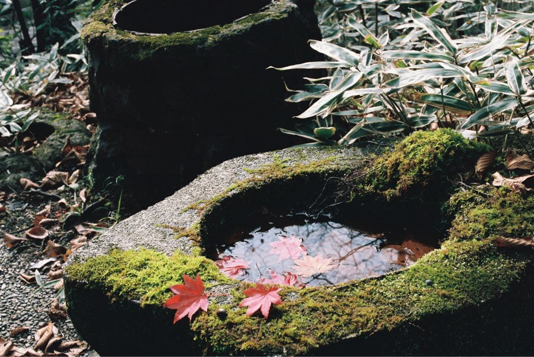 Nikon F3 フィルム一眼レフカメラ　実写作例あり