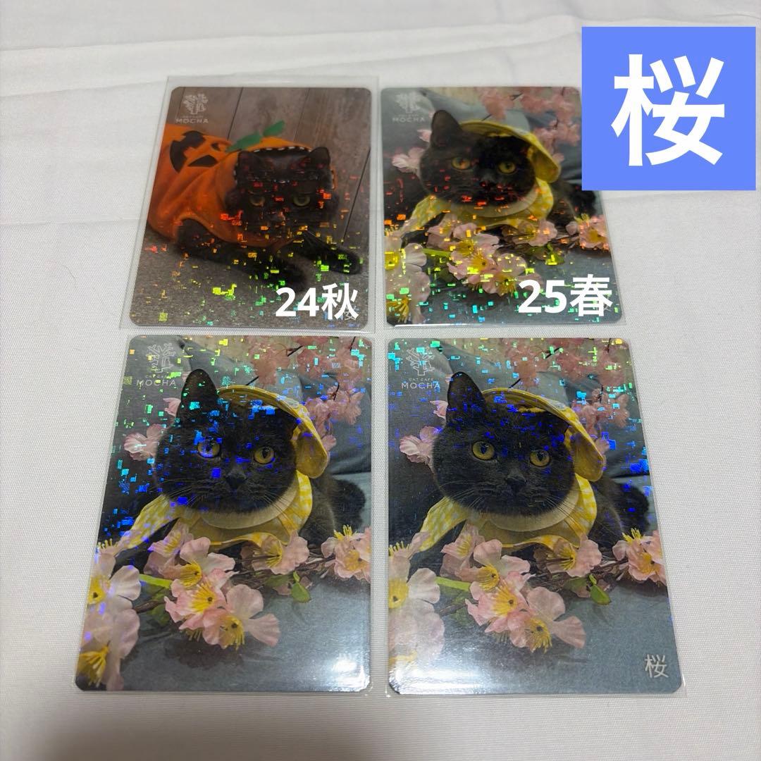 猫カフェ mocha 町田 にゃんずトレカ