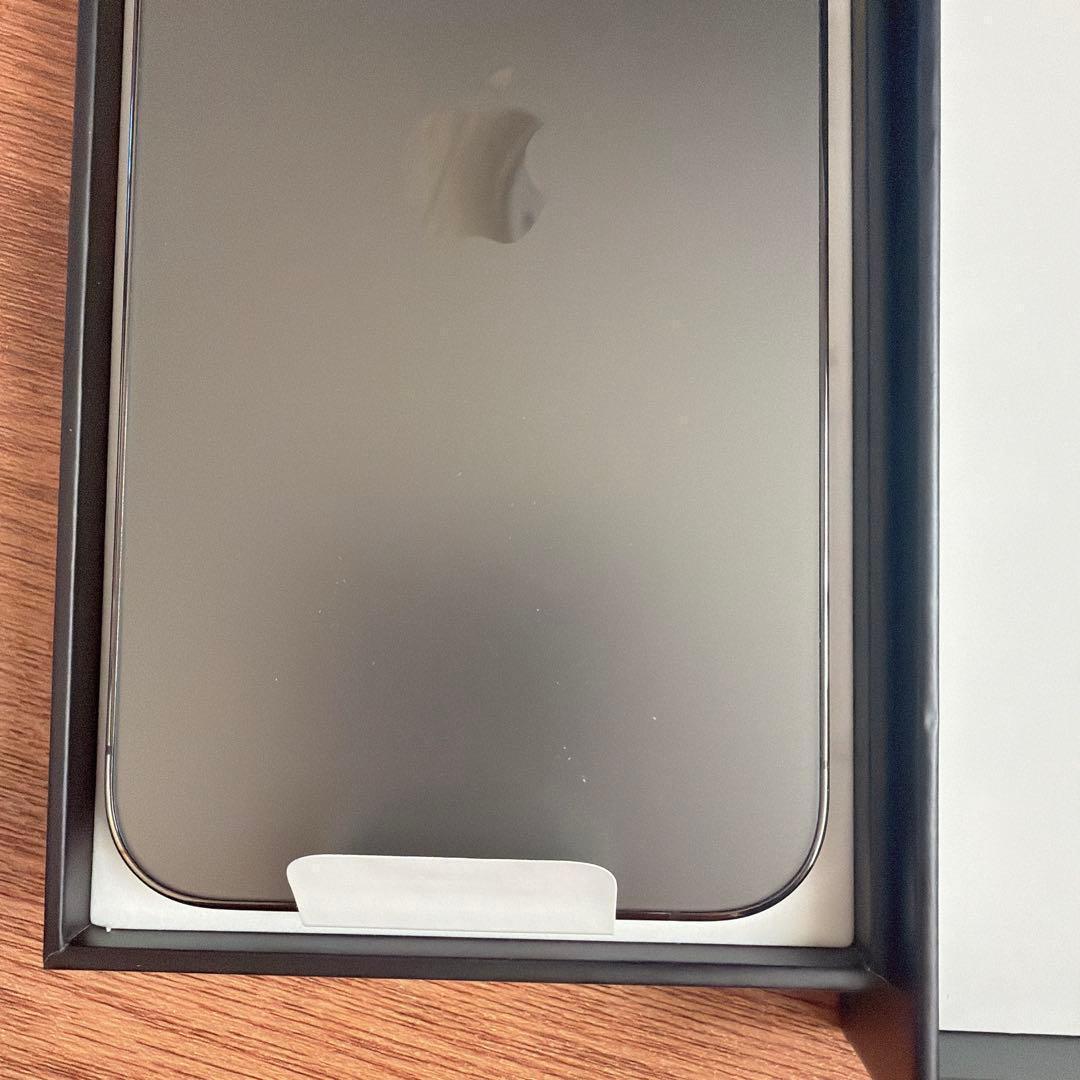 iPhone 13 Pro グラファイト 256GB