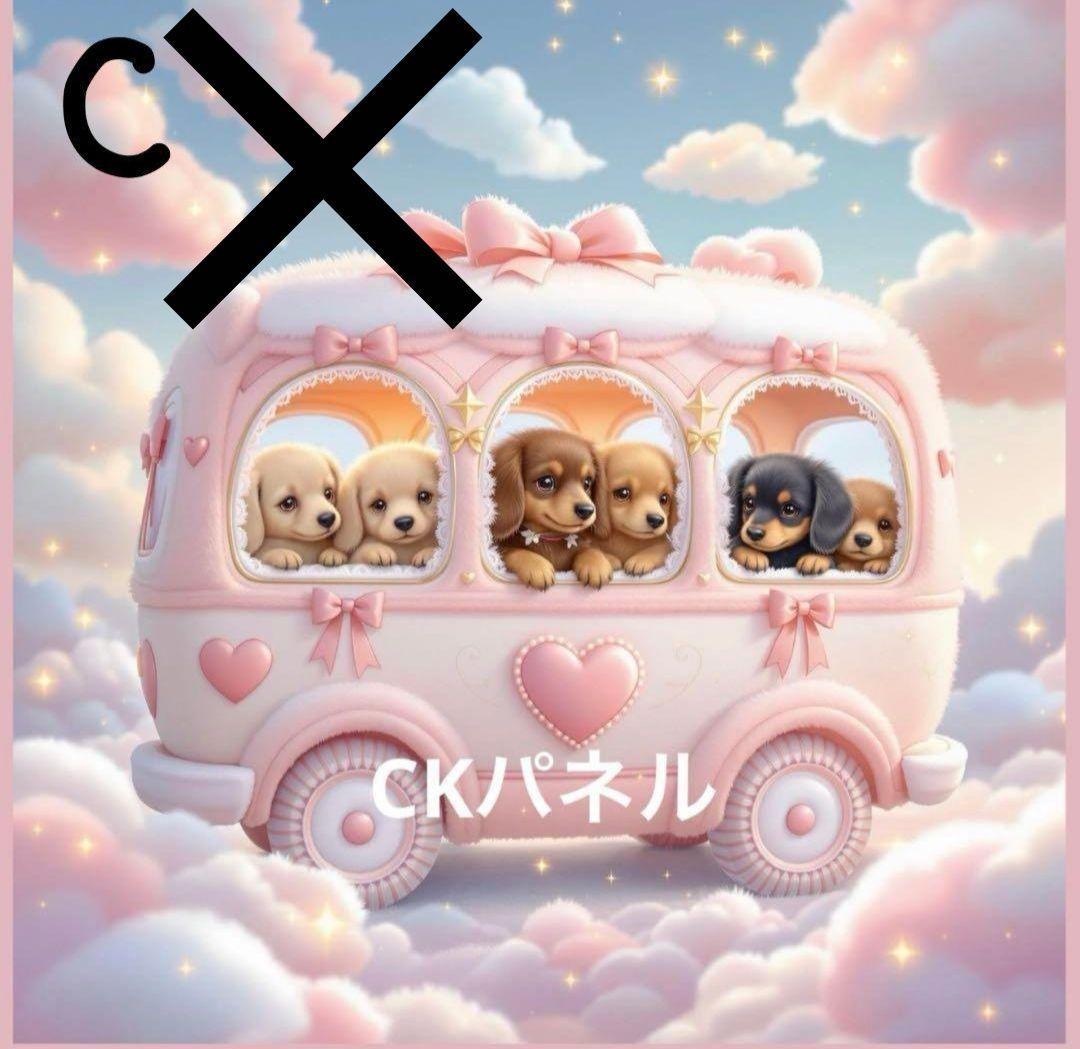 オーダーページ　ダックス　ゆめかわ　3/2