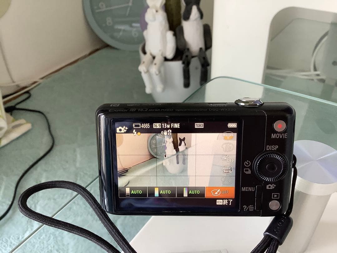 美品 SONY DSC-WX220 光学10倍 超解像20倍 デジタルカメラ