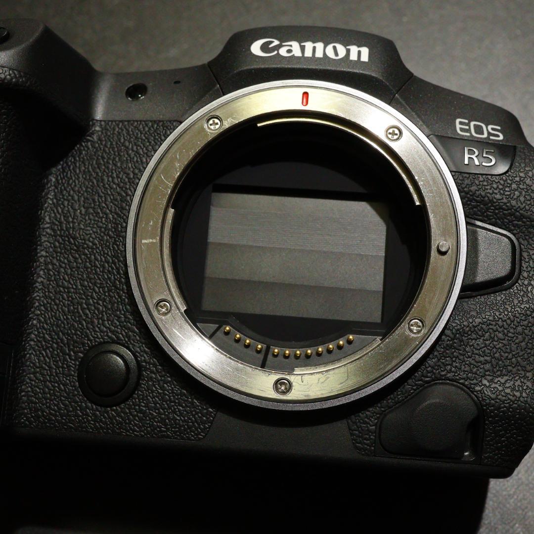 EOS R5　オーバーホール済　バッテリーグリップ　純正バッテリー4個付き
