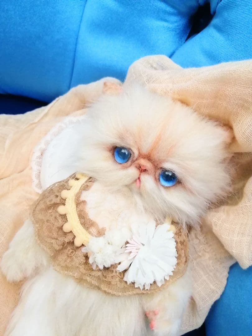 抱っこちゃん❤️猫*エキゾチック❤️ハンドメイド*ぬいぐるみ❤️抱っこにゃん❤️