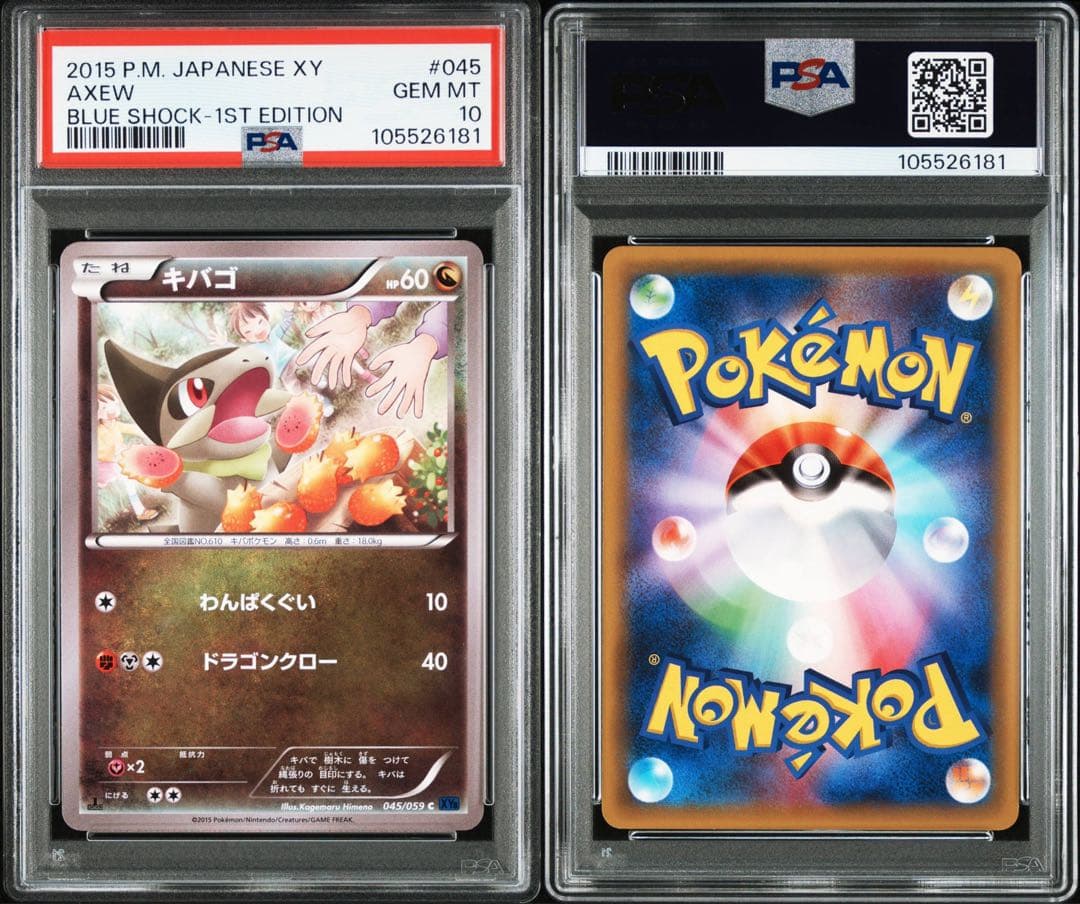現品限り‼️ PSA10 POP3枚　わんぱく キバゴ　XY 青い衝撃　045