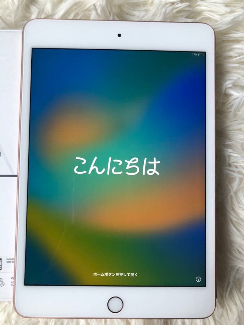 【早い者勝ち】iPad mini5 64GB 【すぐ発送】