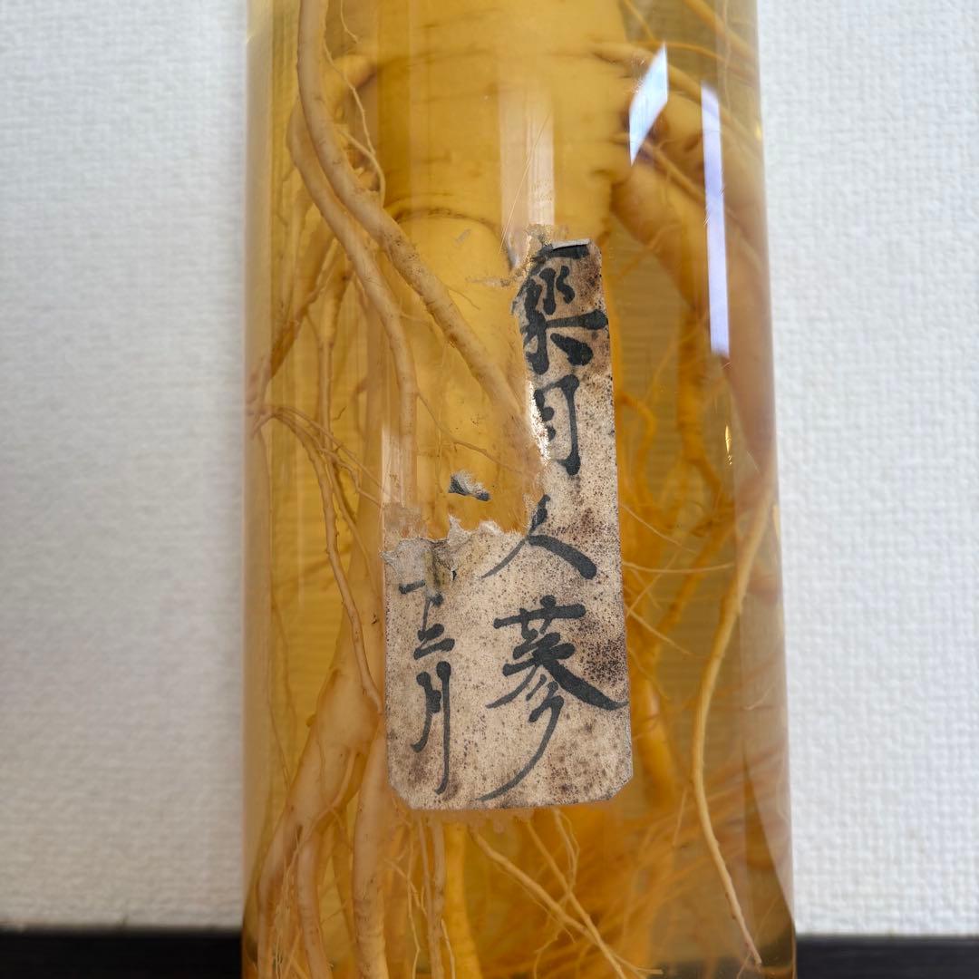 朝鮮人参酒 高麗人参酒 酒 ガラス容器