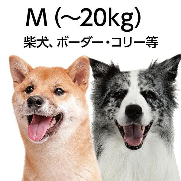 Ethical Door エシカルドア イージーウェア ハーネス M ①