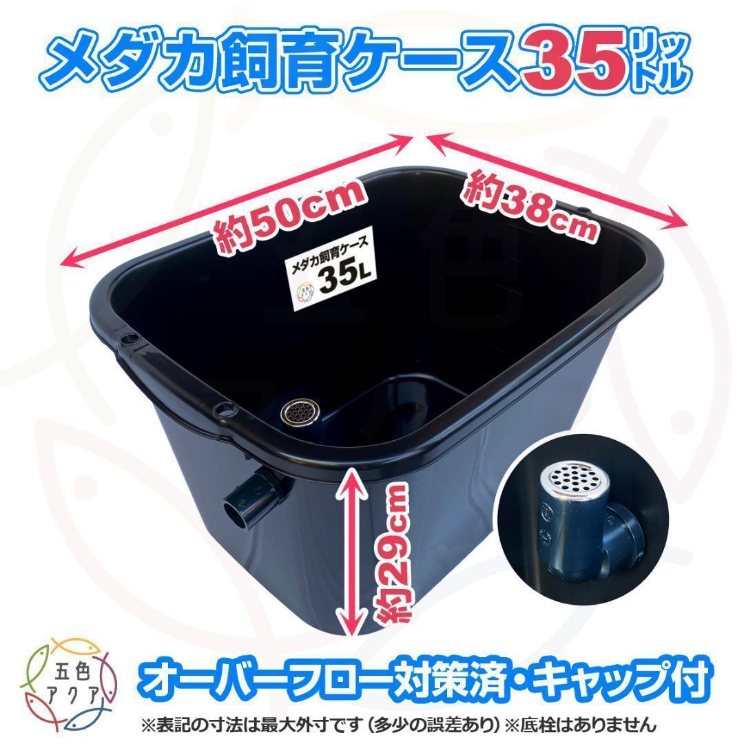 メダカ飼育ケース 35㍑黒x3個 オーバーフロー 金魚飼育容器 メダカ飼育容器