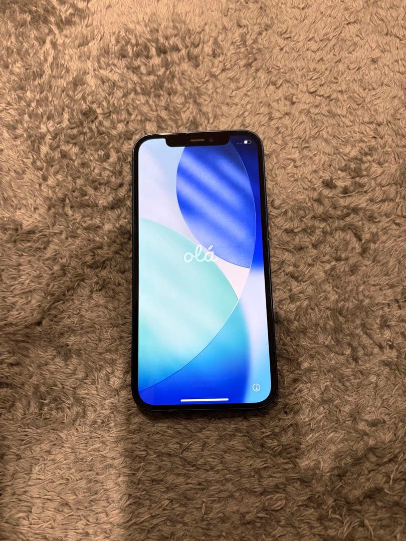 Apple iPhone 12 青 本体 + 付属品