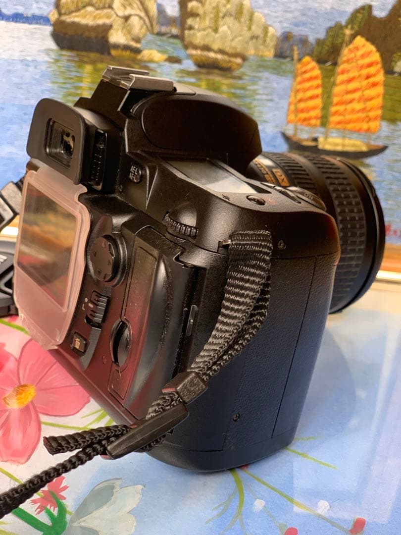 状態良好なニコン D70s + 18-70 レンズ