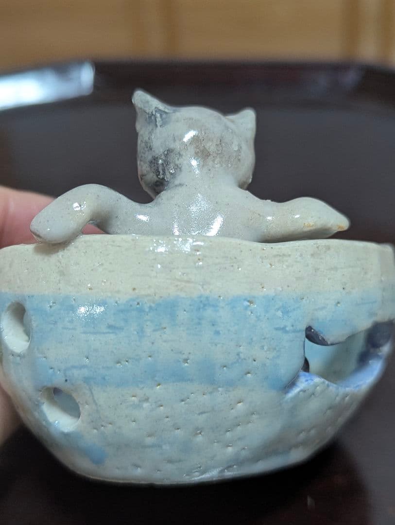 めだかの喜ぶ猫さま(=^・^=)
