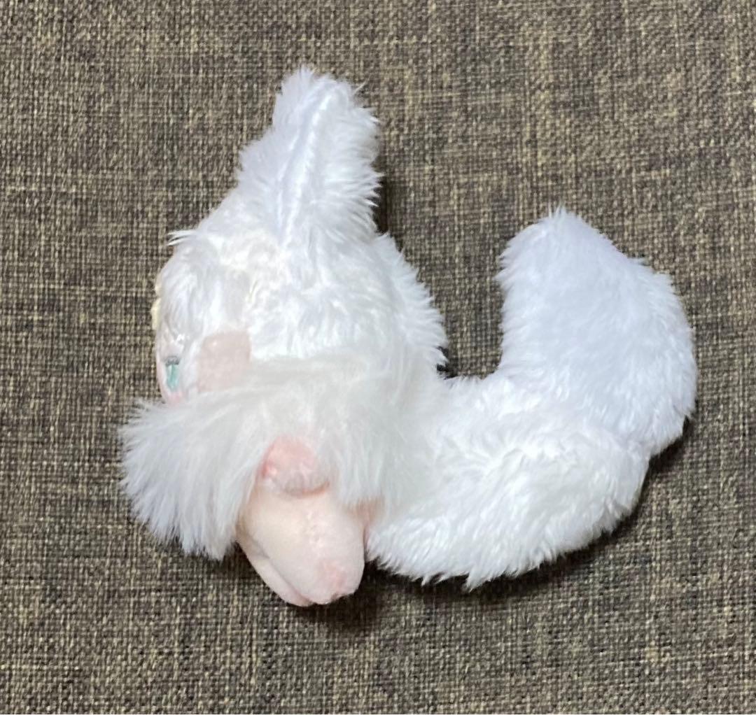 セミオーダー・momochimoo
