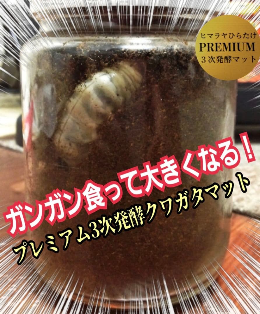 ミヤマクワガタ、ノコギリ幼虫に抜群！800mlボトル入プレミアム発酵マット20本