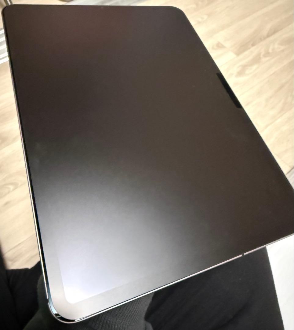 iPad Pro 11インチ 第2世代 256GB