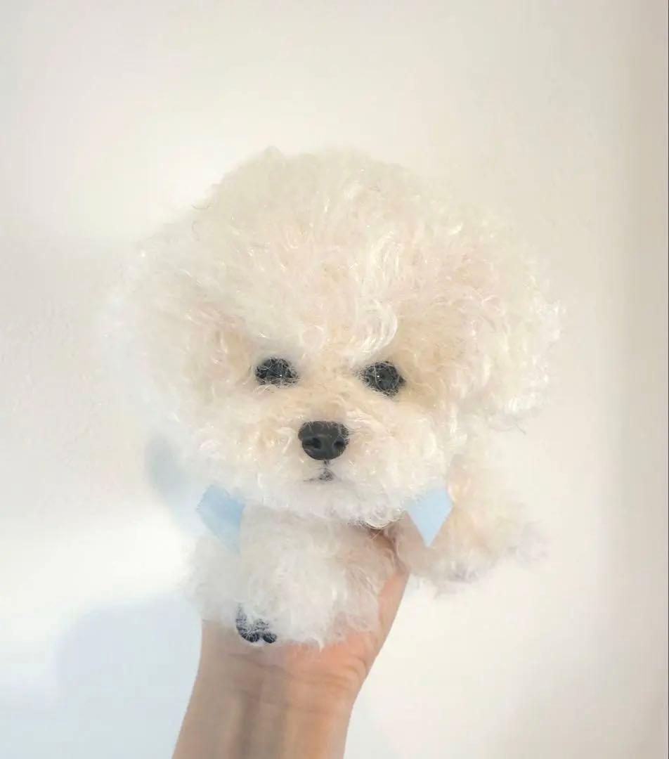 ★ハンドメイド★ ふわふわ ビションフリーゼ ぬいぐるみ ホワイト 中サイズ