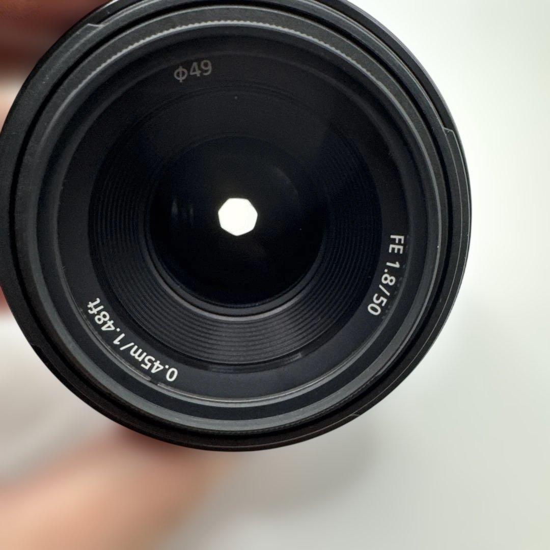 【超美品】SONY SEL50F18F FE 50mm F1.8 単焦点レンズ