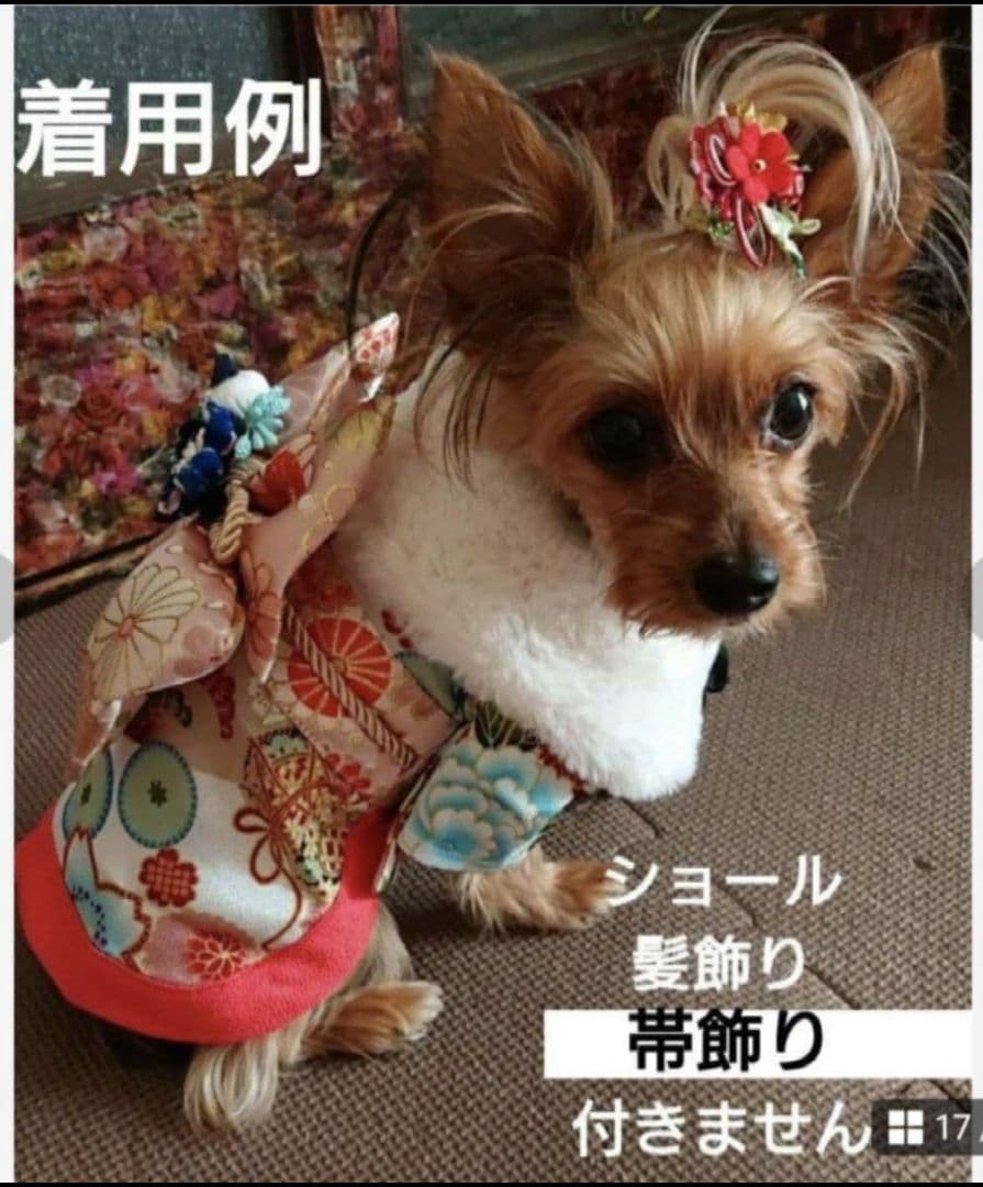 ONEKOSAMA OINUSAMA　犬着物　晴れ着　お花見　　XS ②