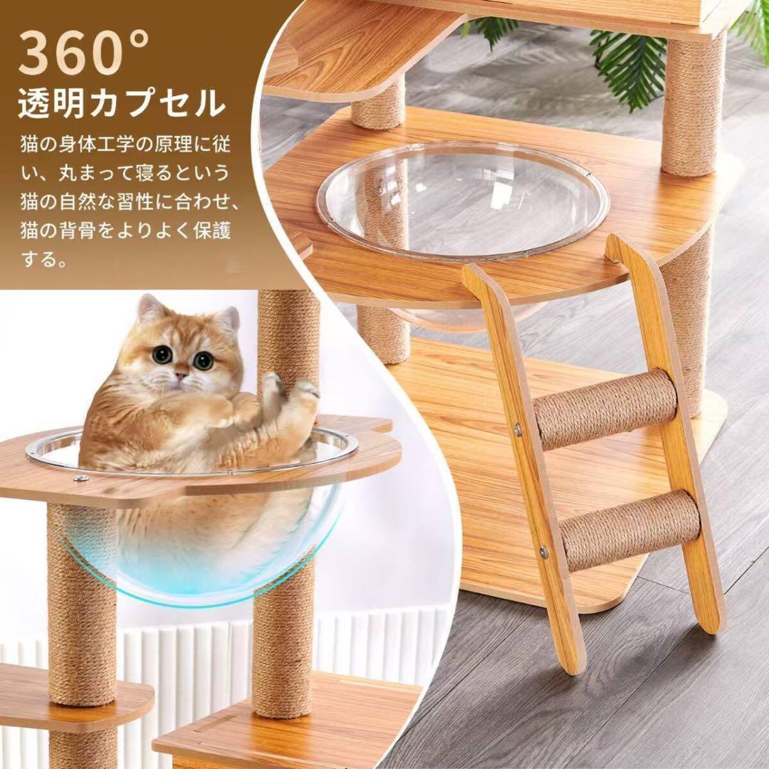 キャットタワー 木製 高さ143cm キャットハウス付き 透明カプセル