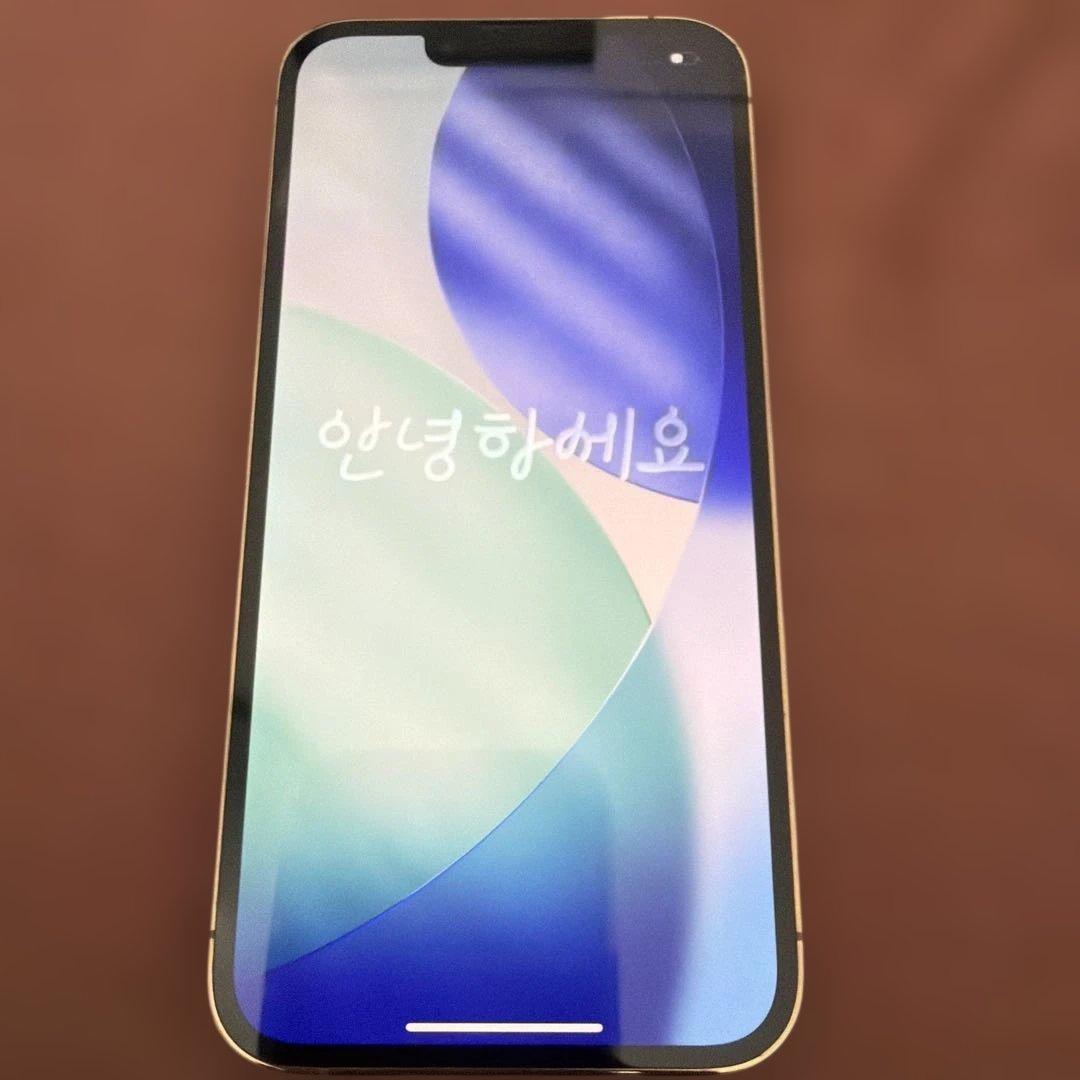 Apple iPhone 13 Pro ゴールド 付属品全付　docomo