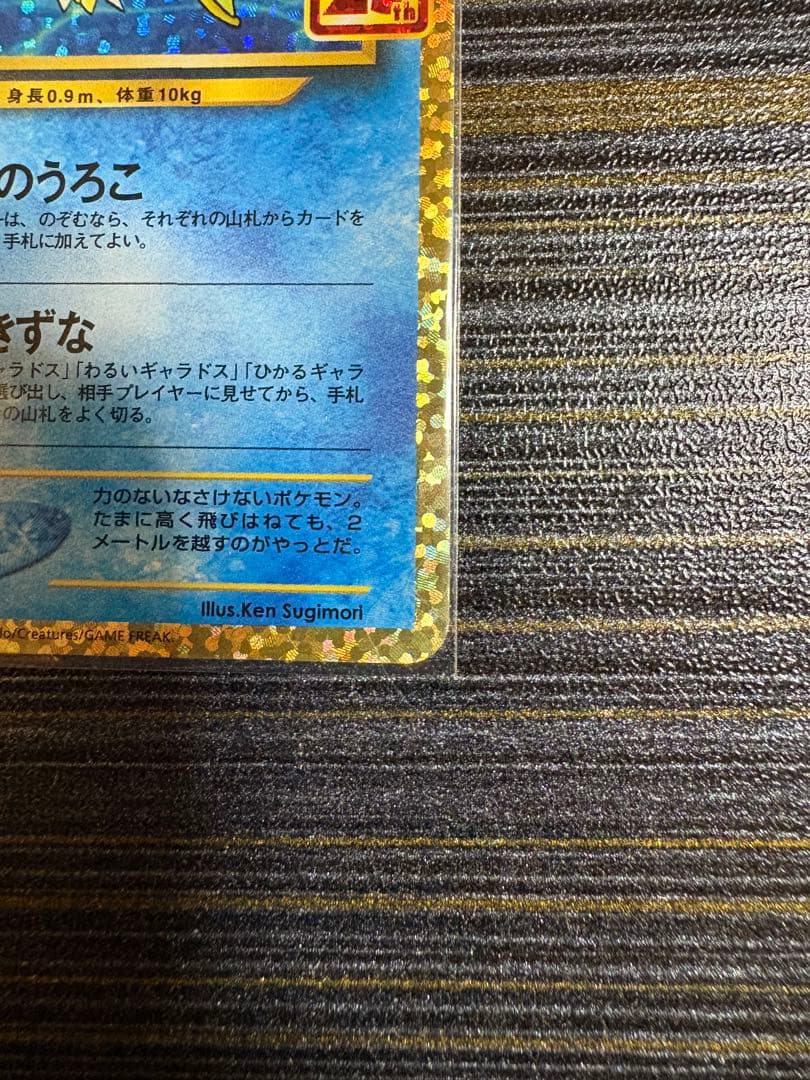 ひかるコイキング 25th ANNIVERSARY