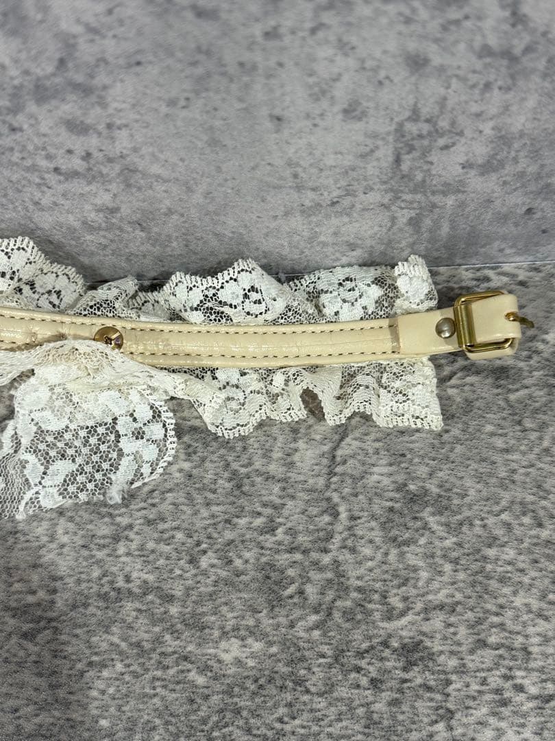 【新品】犬服　フォーペッツオンリー　for pets only カラー②