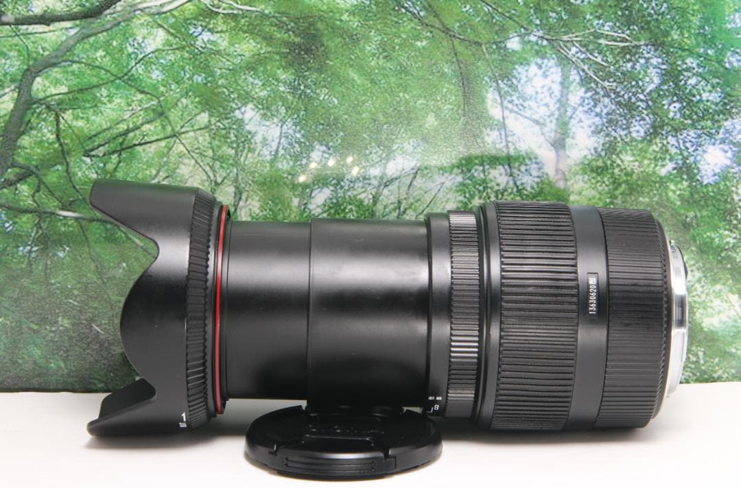 ❤手ぶれ補正して遠くも近くも撮れる☆シグマ 18-200mm DC キャノン用❤