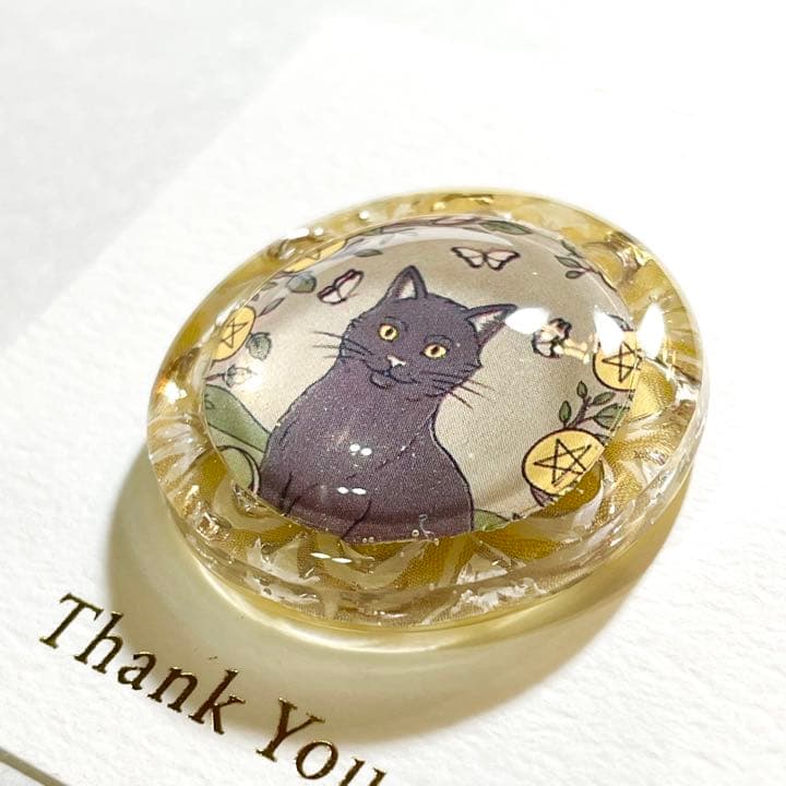 ユーモアなお顔の猫⑦