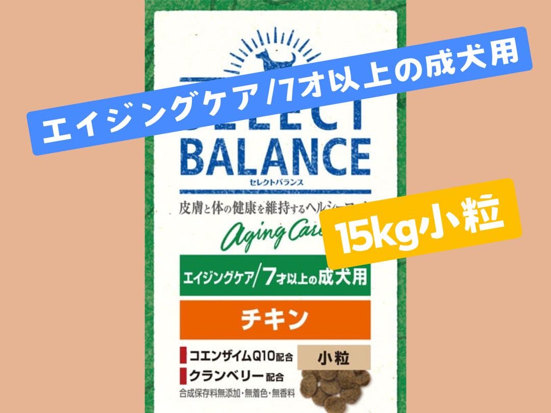 蓮ママ