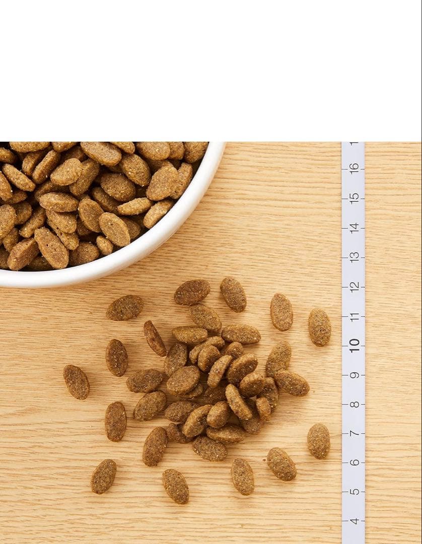 Nutro 成猫用サーモン 3Kg×2個