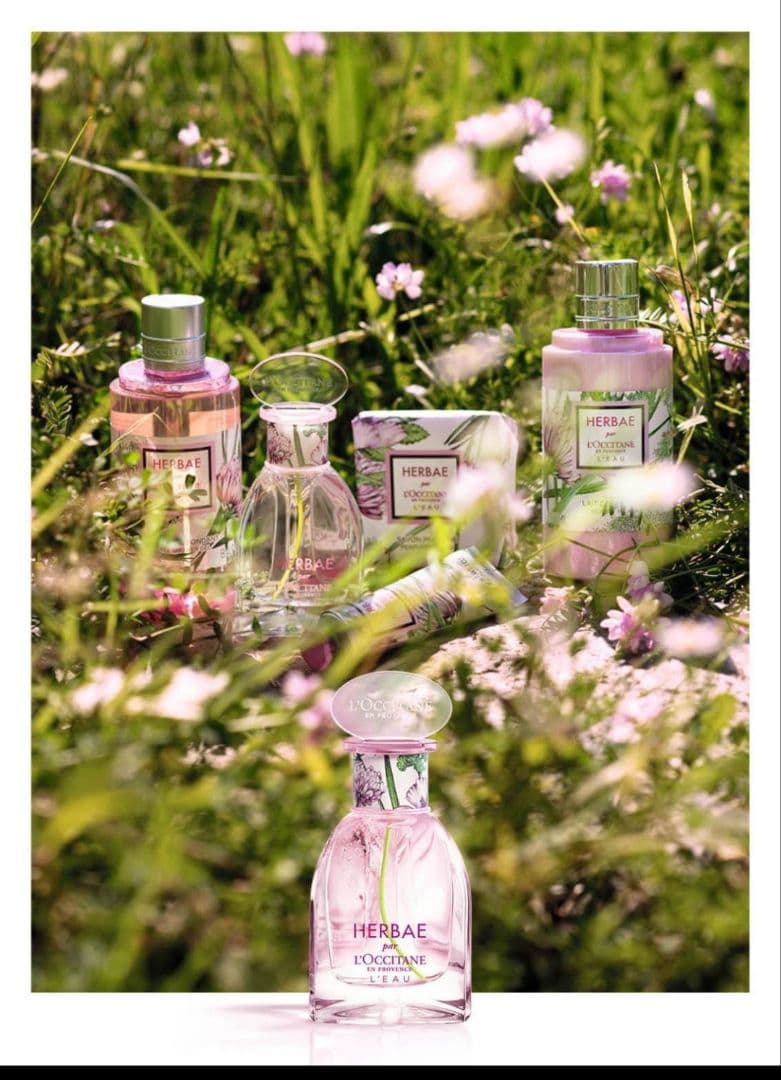 【数量限定】L'OCCITANE HERBAE エルバブランシュ 開封済