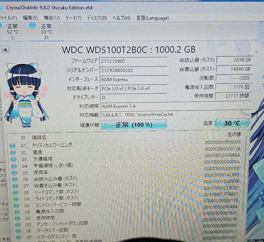 内蔵型SSD WD Blue M.2 SSD 1TB SSD