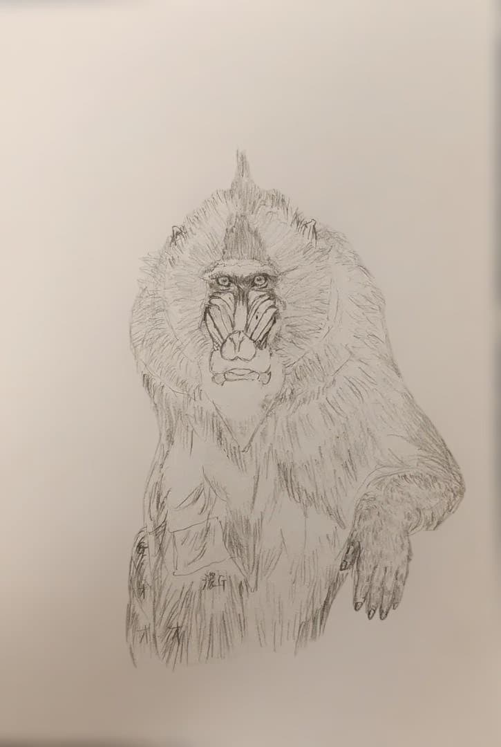 色鉛筆画