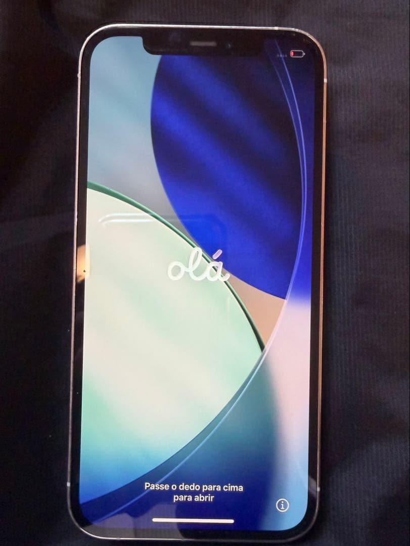 iPhone 12pro シルバー【docomo SIMロック解除済み】