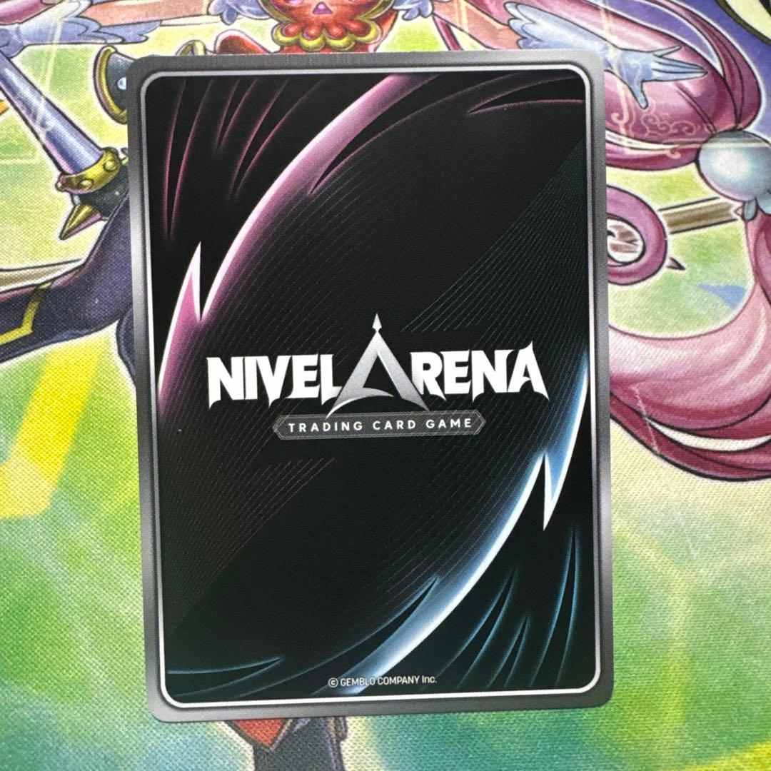 NIVEL ARENA 勝利の女神 NIKKE メガニケ　ドロシー　水着