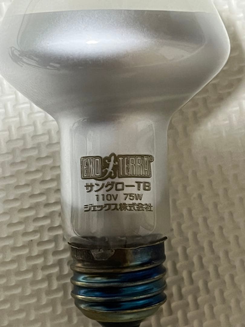 ペット　レイアウト用品